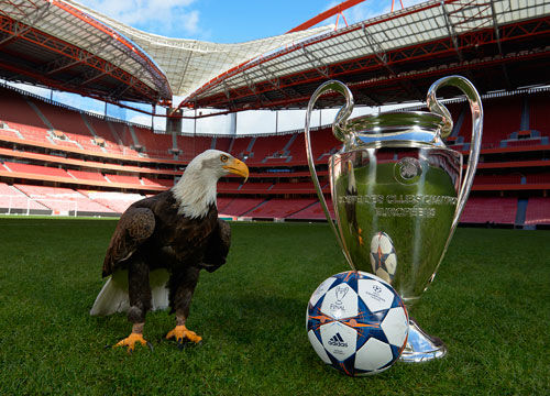 多样化的活 多样化的活