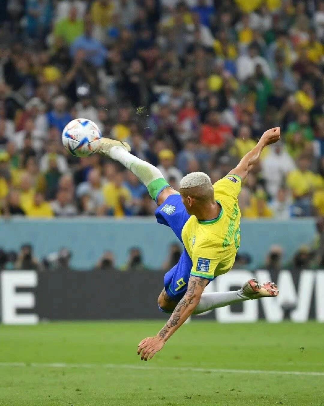 这个案例无 这个案例无