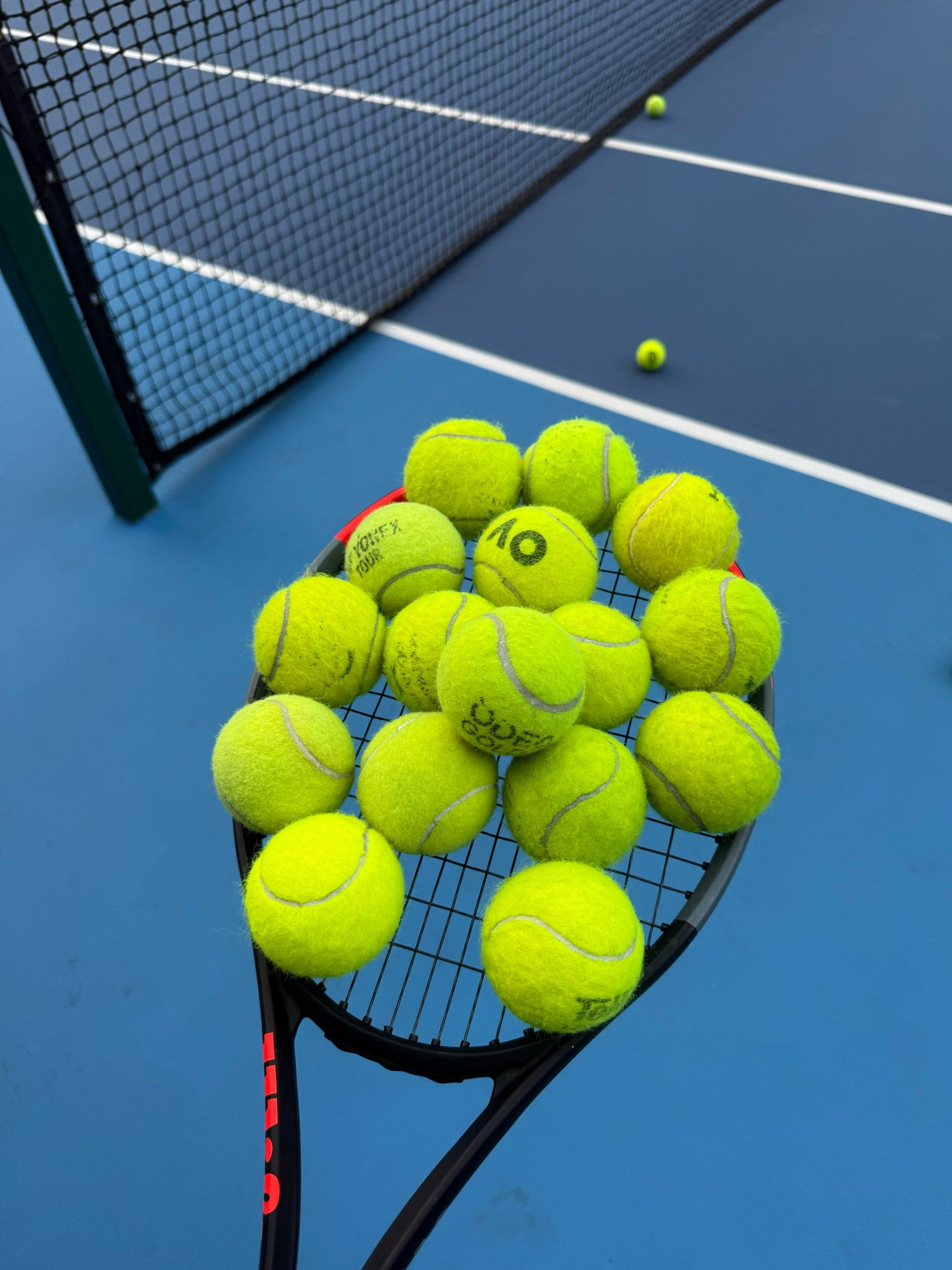 王彤的作用 王彤的作用